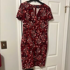 The Limited Floral Red Dress